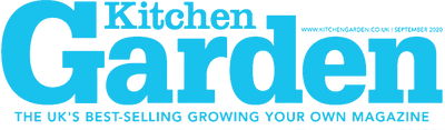 Logo 6