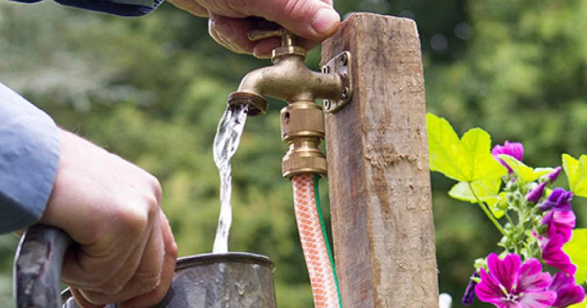 Is Your Tap Water Sabotaging Your Plants? Here’s a Magnetic Fix Without Chemicals