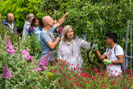 Bringing Magnetic Water Innovation to One of London’s Most Inspiring Gardens
